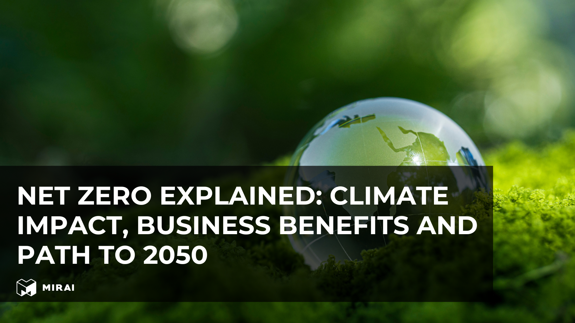 Net Zero Explained: Climate Impact, Business Benefits and Path to 2050 | MIRAI INTEX