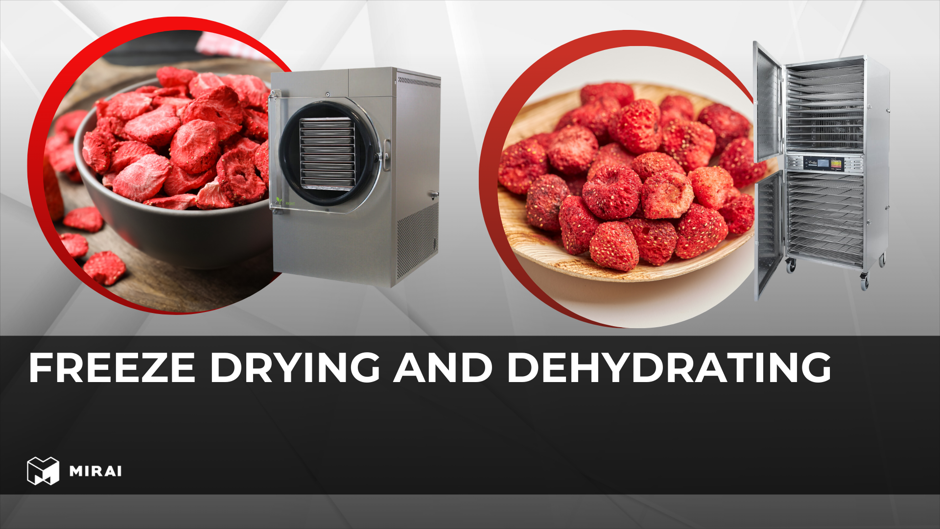 Freeze Drying and Dehydrating: Unlocking a Deeper Look at Food Preservation