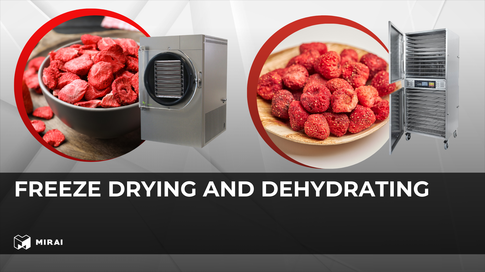 Freeze Drying and Dehydrating: Unlocking a Deeper Look at Food Preservation Freeze Drying and Dehydrating: Unlocking a Deeper Look at Food Preservation