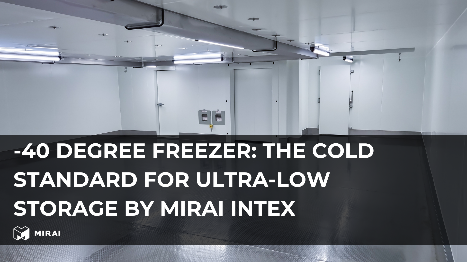 -40 Degree Freezer: The Cold Standard for Ultra-Low Storage by Mirai Intex -40 Degree Freezer: The Cold Standard for Ultra-Low Storage by Mirai Intex