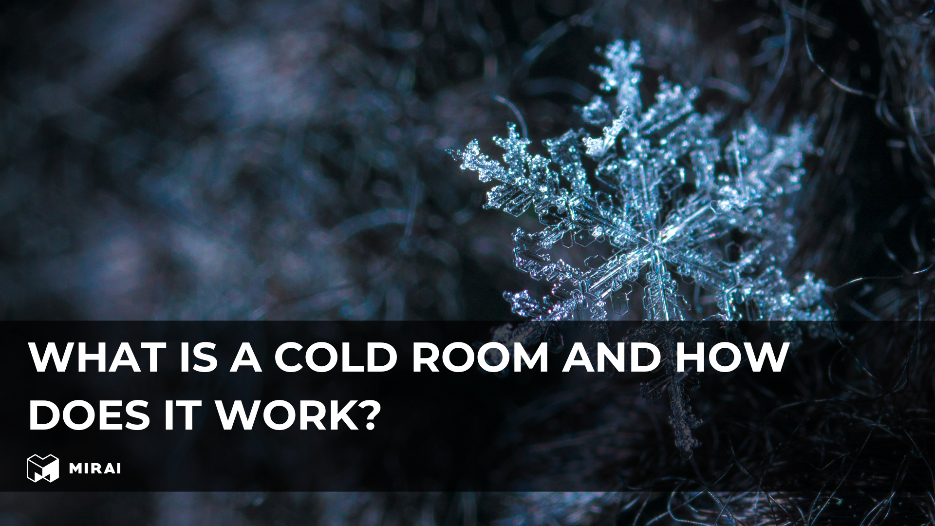 What Is a Cold Room and How Does It Work? What Is a Cold Room and How Does It Work?