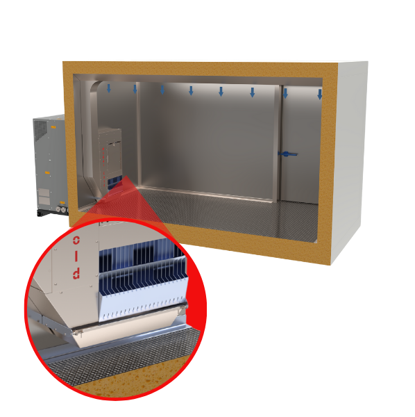 HED from MIRAI INTEX