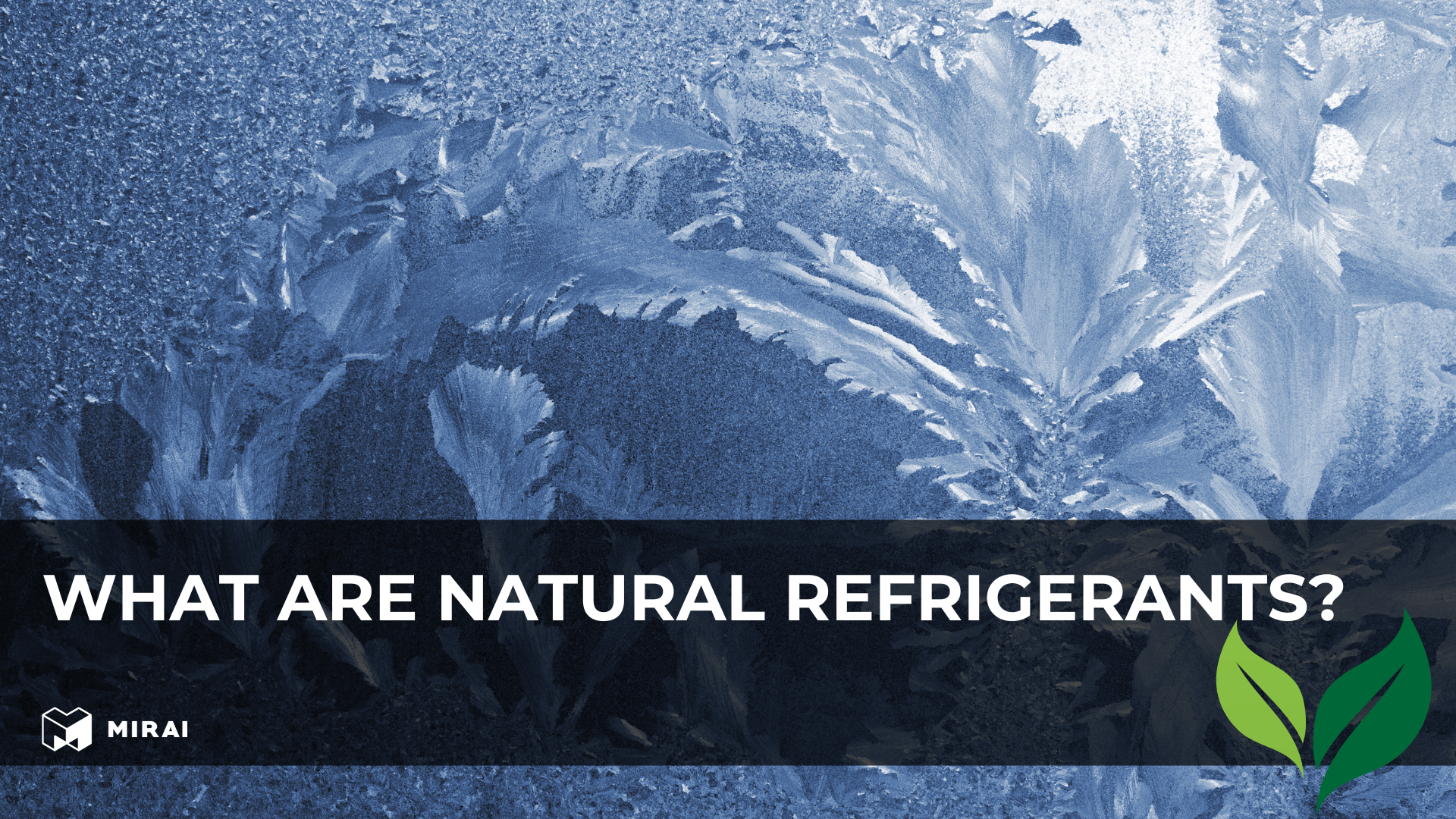 What Are Natural Refrigerants? What Are Natural Refrigerants?